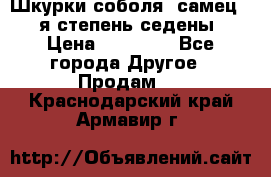 Шкурки соболя (самец) 1-я степень седены › Цена ­ 12 000 - Все города Другое » Продам   . Краснодарский край,Армавир г.